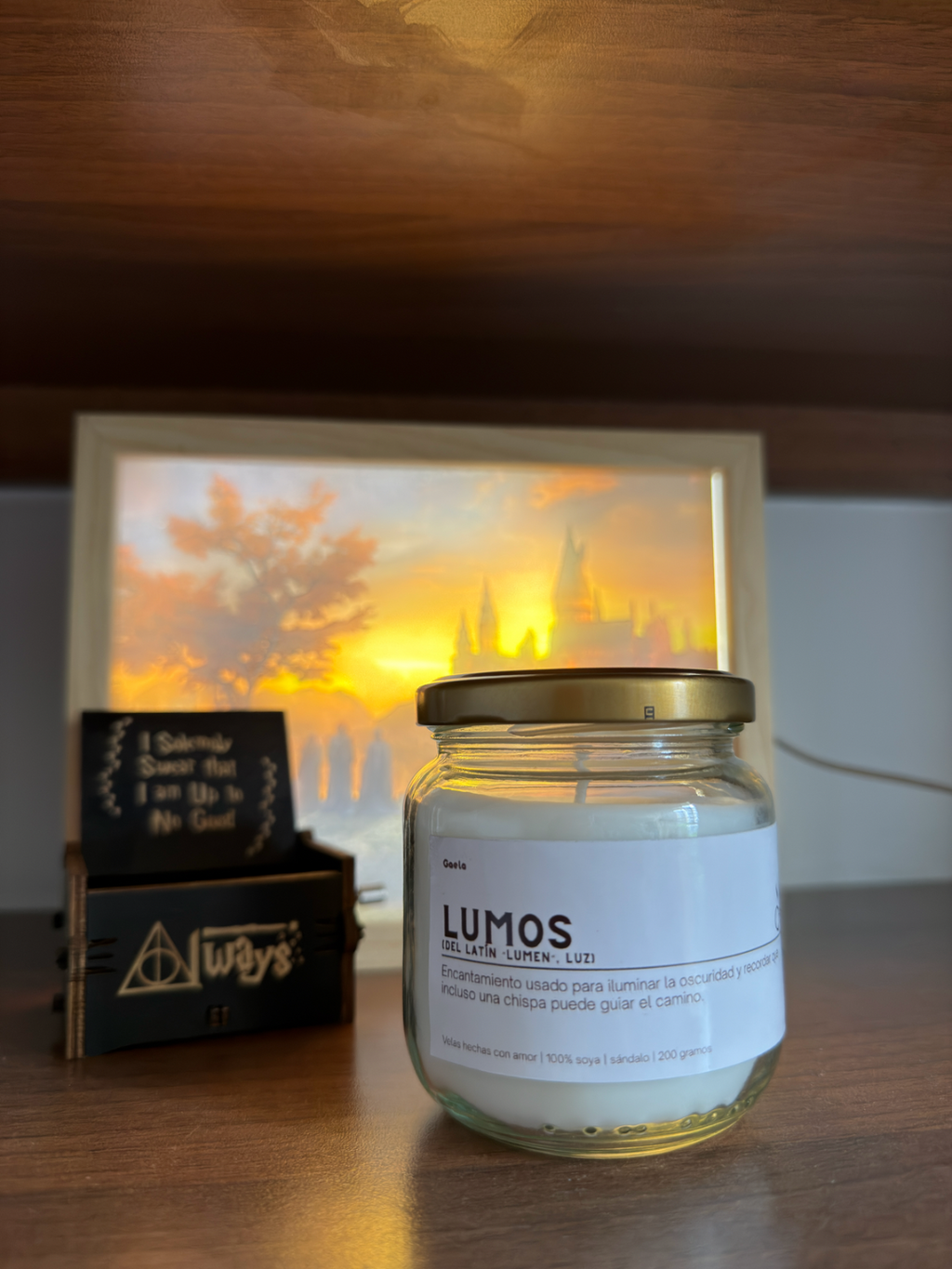 Vela Literaria de Harry Potter